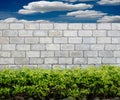Stone wall with green leaves Royalty Free Stock Photo