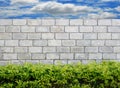 Stone wall with green leaves Royalty Free Stock Photo