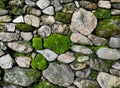 Stone wall with green moss  texture Background Royalty Free Stock Photo