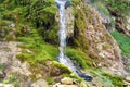 Stone wall with greenery and waterfall. Texture of nature. Background for text, banner, label. Royalty Free Stock Photo