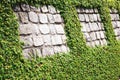 Stone wall with hedge Royalty Free Stock Photo