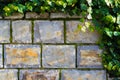 Stone wall with ivy and moss Royalty Free Stock Photo