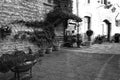 A stone wall with ivy, plants and clay pots in a medieval italian village Umbria, Italy Royalty Free Stock Photo