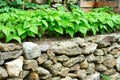 Stone wall and kitchen garden