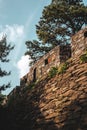 Stone wall with lush green foliage growing atop it.