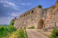 Stone Wall of Marienberg Fortress (Castle) through grapes to Wurzburg, Wurzburg, Bayern, Germany Royalty Free Stock Photo