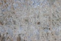 Stone wall with a multilayered old tumbling whitewash texture Royalty Free Stock Photo