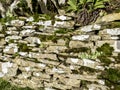 Stone wall with musk on it