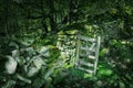 Stone wall with open gate in magical woodland.Fairytail scenery