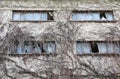 Stone wall overgrown with plant branches and broken windows, a symbol of destruction Royalty Free Stock Photo