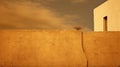 Surreal Organic Desertwave: A Tonalist Skies Wall In Sepia Hdr