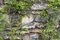 stone wall with plants - old building in Austria Royalty Free Stock Photo
