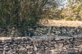 stone wall in Provence in southern France