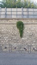 Stone wall by a road with railings and green plants Royalty Free Stock Photo