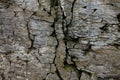 Stone wall of rock with cracks Royalty Free Stock Photo