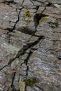 Stone wall of rock with cracks Royalty Free Stock Photo