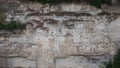 Stone wall. Rocks background texture. light rock with vegetation