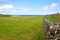 Stone wall in Scottish countryside Royalty Free Stock Photo