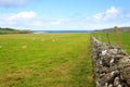 Stone wall in Scottish countryside Royalty Free Stock Photo