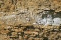 A stone wall with shadows for background, design