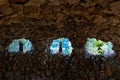 Stone wall in Taormina Isola Bella gardens. Opening in the wall with view to nature Royalty Free Stock Photo