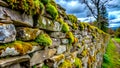 Stone Wall: A Tapestry of Time's Passage Generative AI Digital creation