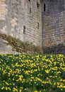 Stone wall texture detail Medieval castle.