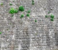 Stone wall texture Royalty Free Stock Photo