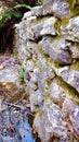 Mossy Stone Wall Royalty Free Stock Photo