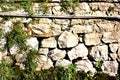 Stone wall and wild grass texture