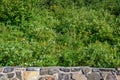 Stone wall with wildflowers and foliage in background on a sunny day Royalty Free Stock Photo