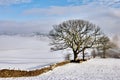 Stone Wall In Winter Snow Royalty Free Stock Photo