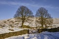 Stone wall in Wintry landscape Royalty Free Stock Photo