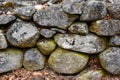 close up of an stone wall iin the wpoods of newengland Royalty Free Stock Photo