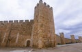 Stone walls of Monblanc