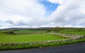 Stone walls surround grazing pastures in Scotland