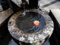 Japanese stone water basin with red maple leaf Royalty Free Stock Photo