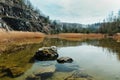 Stone in water in swamped quarry with high dry grass and rock, Czech republic