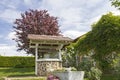 A stone water well standing in front of a red plum tree