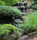 A stone waterfall cascading into a pond in a landscaped Japanese garden Royalty Free Stock Photo