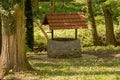 A stone well with a roof in the middle of a forest Royalty Free Stock Photo