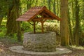 One stone well with a roof in the middle of a forest Royalty Free Stock Photo