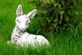 Stone white deer bambi sculpture lying on the green lawn Royalty Free Stock Photo