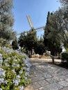 Stone windmill located in the Montefiore neighborhood of Jerusalem, Israel Royalty Free Stock Photo