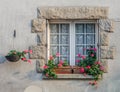 Window with flowers