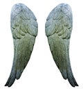 Stone Wings