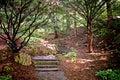 Stone and Wood Steps Winding up a Landscaped Forest Hill Royalty Free Stock Photo