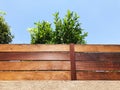 Stone and wooden fence and tree in Rishon Le Zion. Close up shot Royalty Free Stock Photo