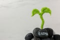 Stone with word Karma and sprout made of light green sea salt on white marble table, flat lay. Space for text Royalty Free Stock Photo