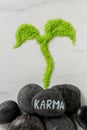 Stone with word Karma and sprout made of light green sea salt on white marble table, flat lay Royalty Free Stock Photo